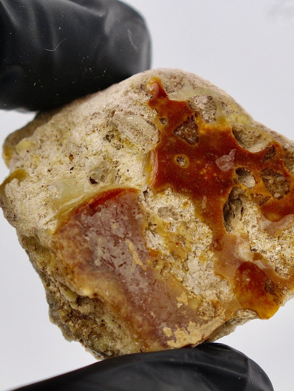 Virgin Valley Opal Petrified Wood Log Limb Cast Raw Rough Specimen Nevada 24.8g